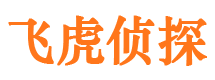 宁津找人公司